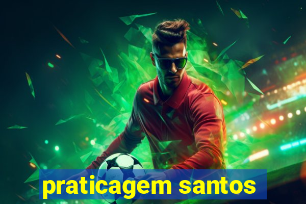 praticagem santos